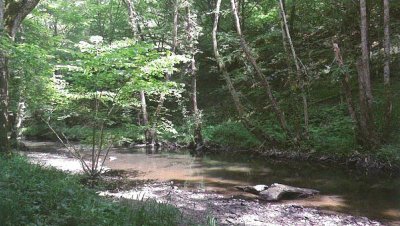 « Le Moulin des Fougères »