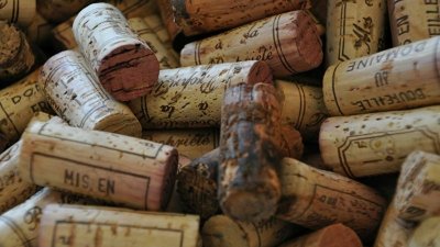 Escapades dans le vignoble - Circuit Bourgogne - 1/2 journée