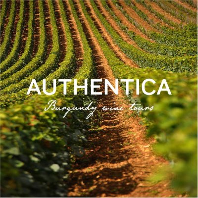 Authentica Tours