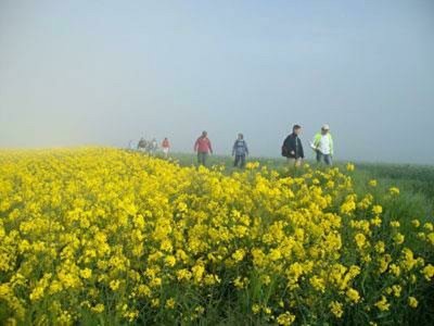 Comité Départemental de la Randonnée Pédestre