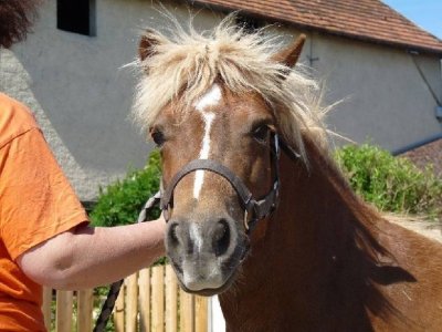 Centre equestre equita-saône