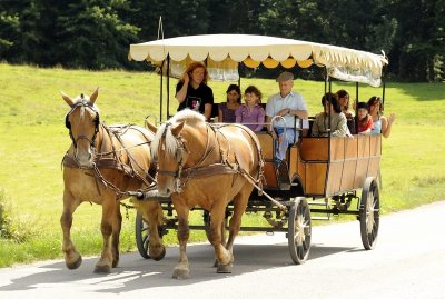 Les Calèches du Saut du Doubs
