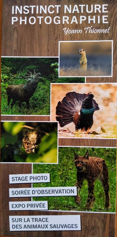 Instinct Nature Photographie - Yoann Thionnet