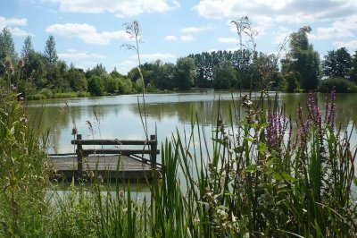 Etang Chaumont