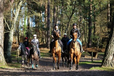 Galbaux Cheval Sport Event - Centre équestre de galbaux