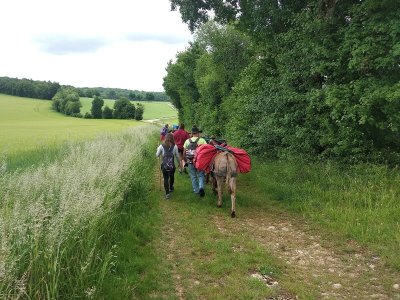 Donkey Ane, les ânes du Petit bonheur 21