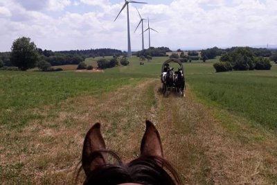 Les attelages du gaec de l'espoir