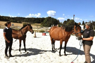 Ecurie de la Vernade