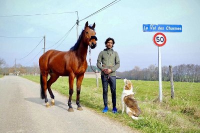 Haras du Val des Charmes