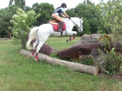 Centre hippique poney club du bois dore d'hericourt
