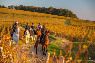 Les Sabots de Verres