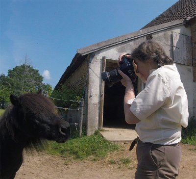 Atelier Photographie équine