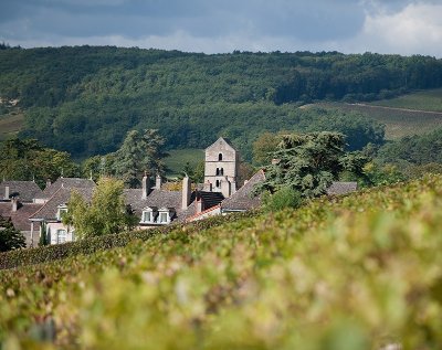 Domaine Ninot (Visite-dégustation - Rully et Mercurey, les secrets de nos terroirs)