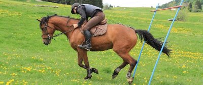 Centre Équestre Tinguely
