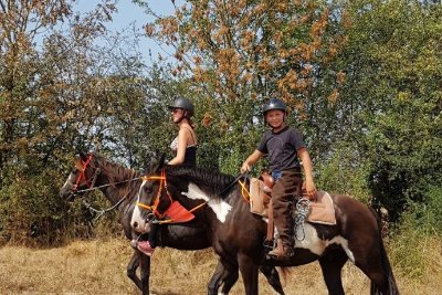 Ferme équestre élevage Juan