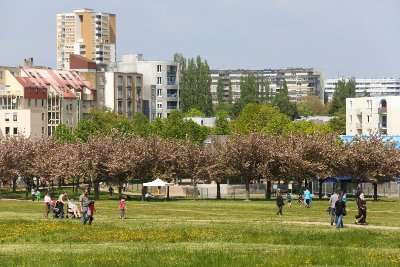 Le Planoise de Novarina