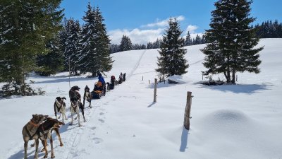 Ecole de traîneaux - Too Mush