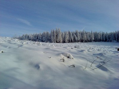 Association SKIMO ou comment skier sur le massif du Haut Folin