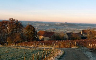 Domaine La Croix Montjoie - Dégustation-vente de vins de Vézelay
