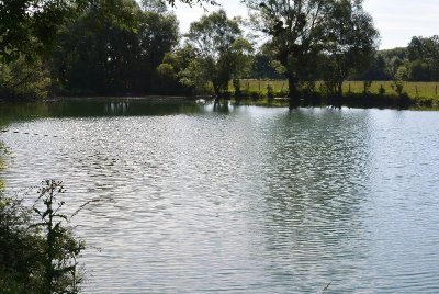 Pêche dans la Tille et l'Ignon
