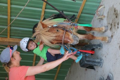 L'écurie des p'tits bouts