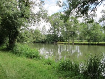 Les prairies de l'Arnon