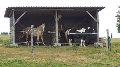 Les écuries kryst'al