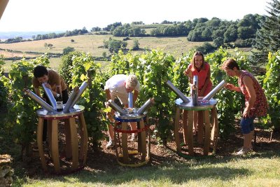 Parcours Olfactif des Vins