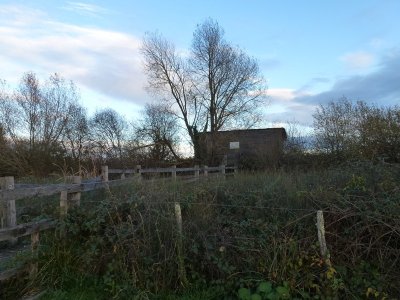 Observatoire de l'étang des Essarts (Réserve naturelle de Chérine)