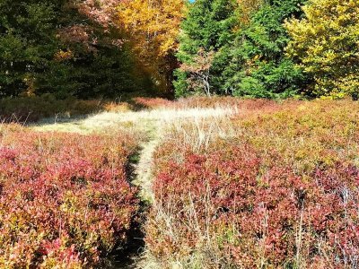 Randonnée La Schlucht - Le Hohneck - Le Collet