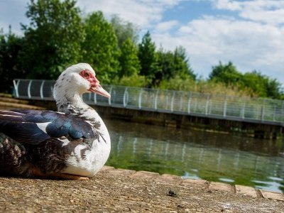 Boucle de Châtillon