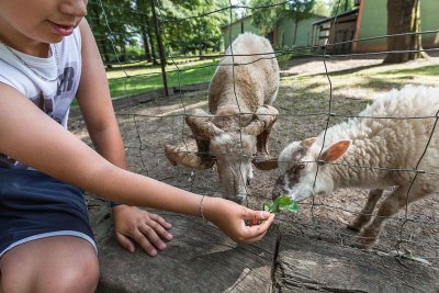 Circuit découverte de Florange