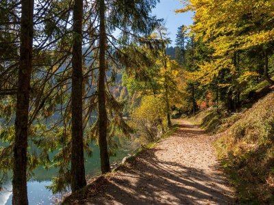 Circuit poussette tour du lac des corbeaux