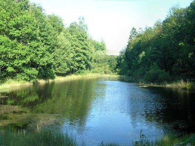 Circuit tour du lac de Bouzey