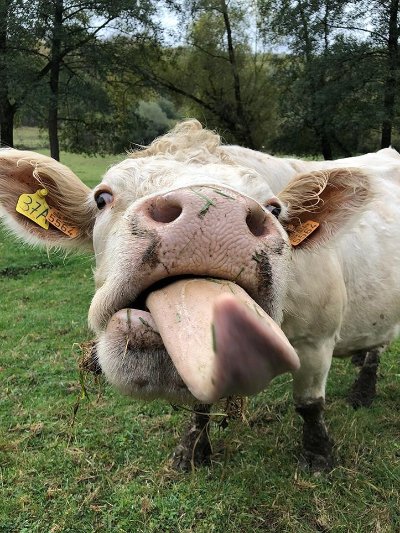 Circuit des 3 collines