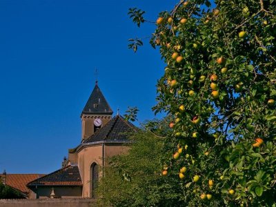 Circuit des étangs - Rhodes - Lindre - Canal