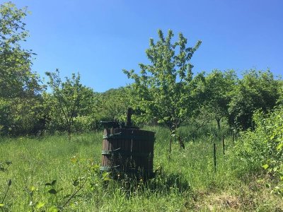 Circuit de Guentrange