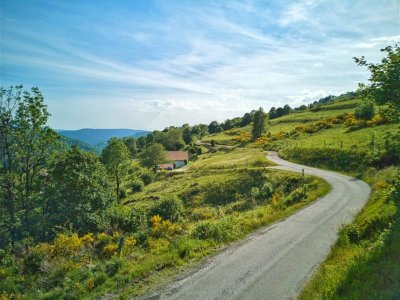 Circuit poussette la basse des feignes