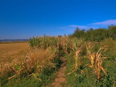 Le chemin de la reine en VTT