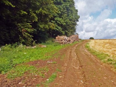 Circuit de la carrière