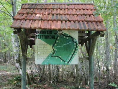 Itinéraire découverte autour de Vathiménil