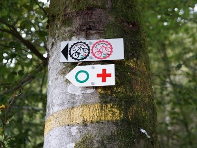 Circuit vtt Saint-Nabord - le slecard noir