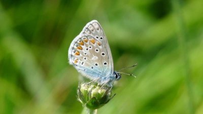 Circuit de la Sermone