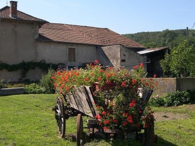 Espace naturel sensible la Mortagne au fil de l'eau