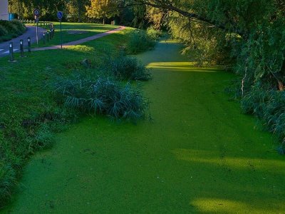 Circuit vélo du sel