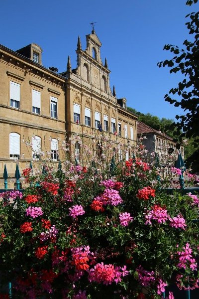 Circuit du bois de la dame