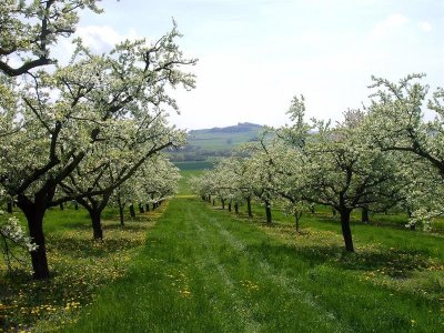 Val de Meurthe - les Hauts de Vigneulles