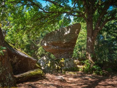 Circuit vtt n°3 (bleu) Saucefaing - Cellet