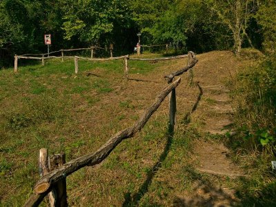 Balade sur le Sentier de la réserve naturelle de Montenach