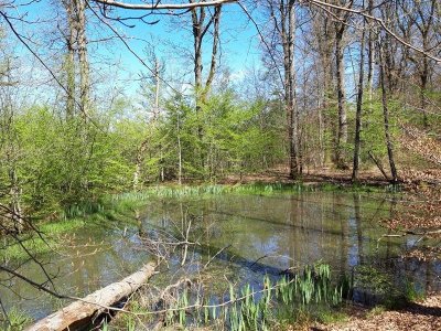 Randonnée pédestre à la découverte des mardelles